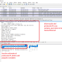 wireshark-ip.png